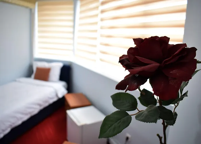 Отель Aristocrat & Fish Restaurant