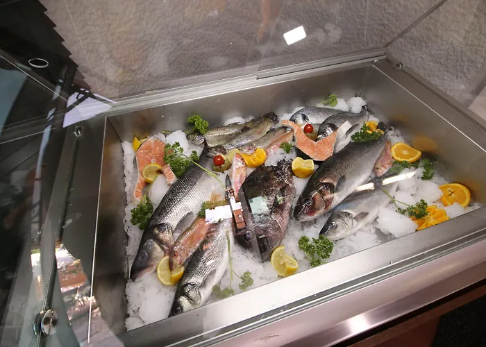 Отель Aristocrat & Fish Restaurant 3*