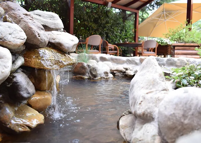 Отель Aristocrat & Fish Restaurant